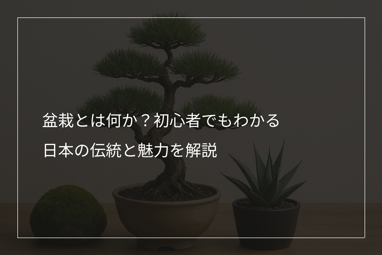盆栽とは何か