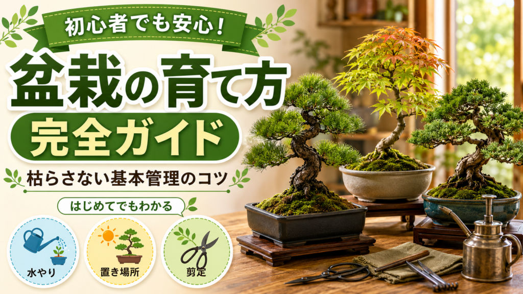 盆栽の育て方