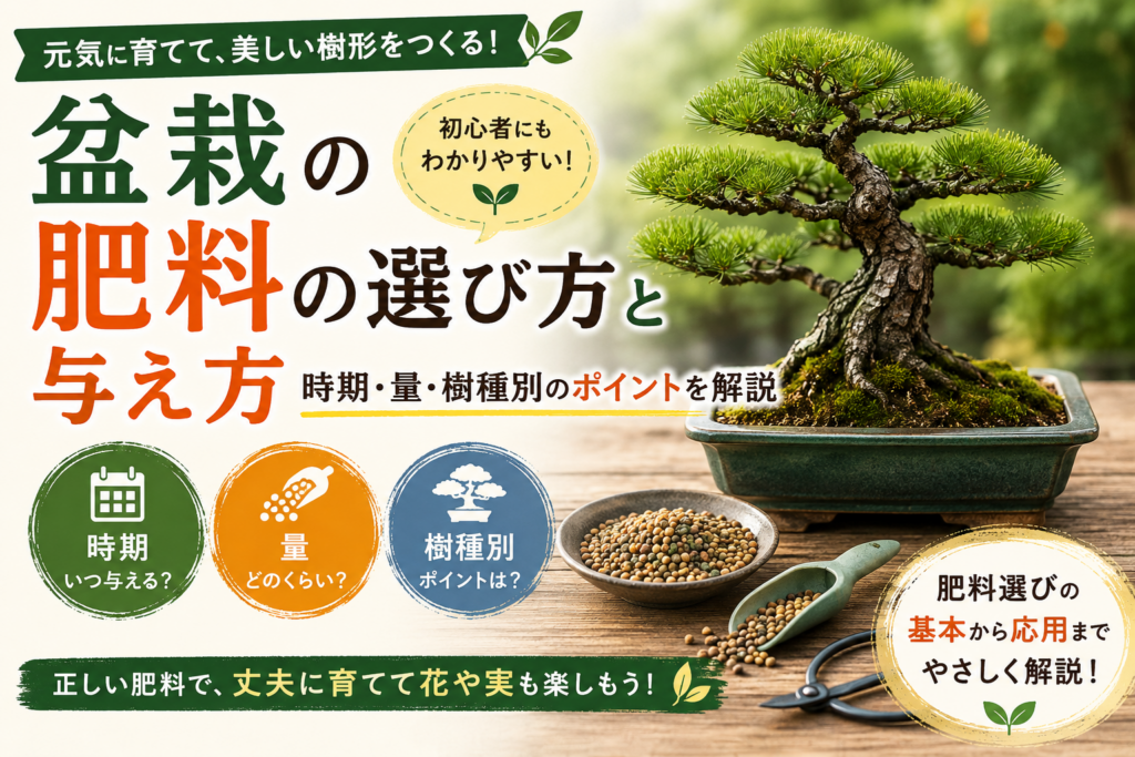 盆栽の肥料の選び方と与え方