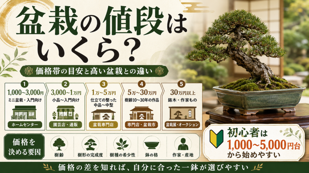 盆栽の値段はいくら