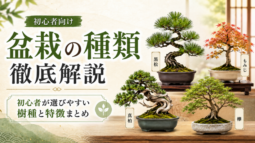 盆栽の種類