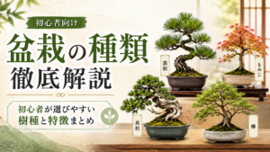 盆栽の種類