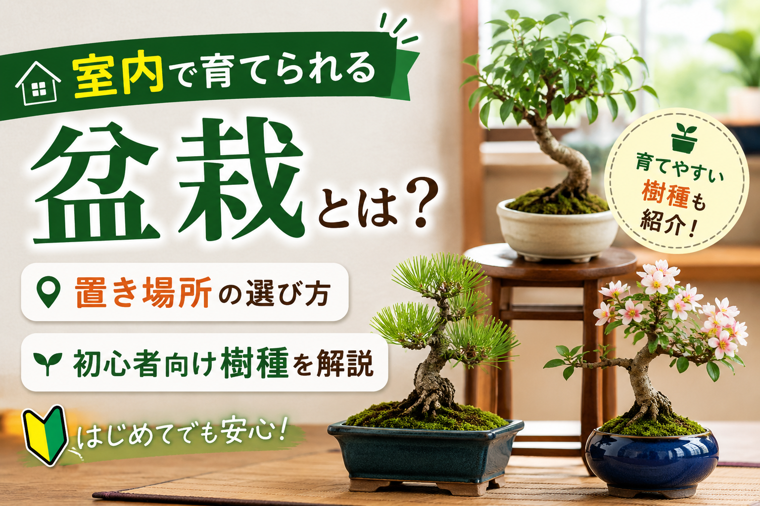 indoor-bonsai