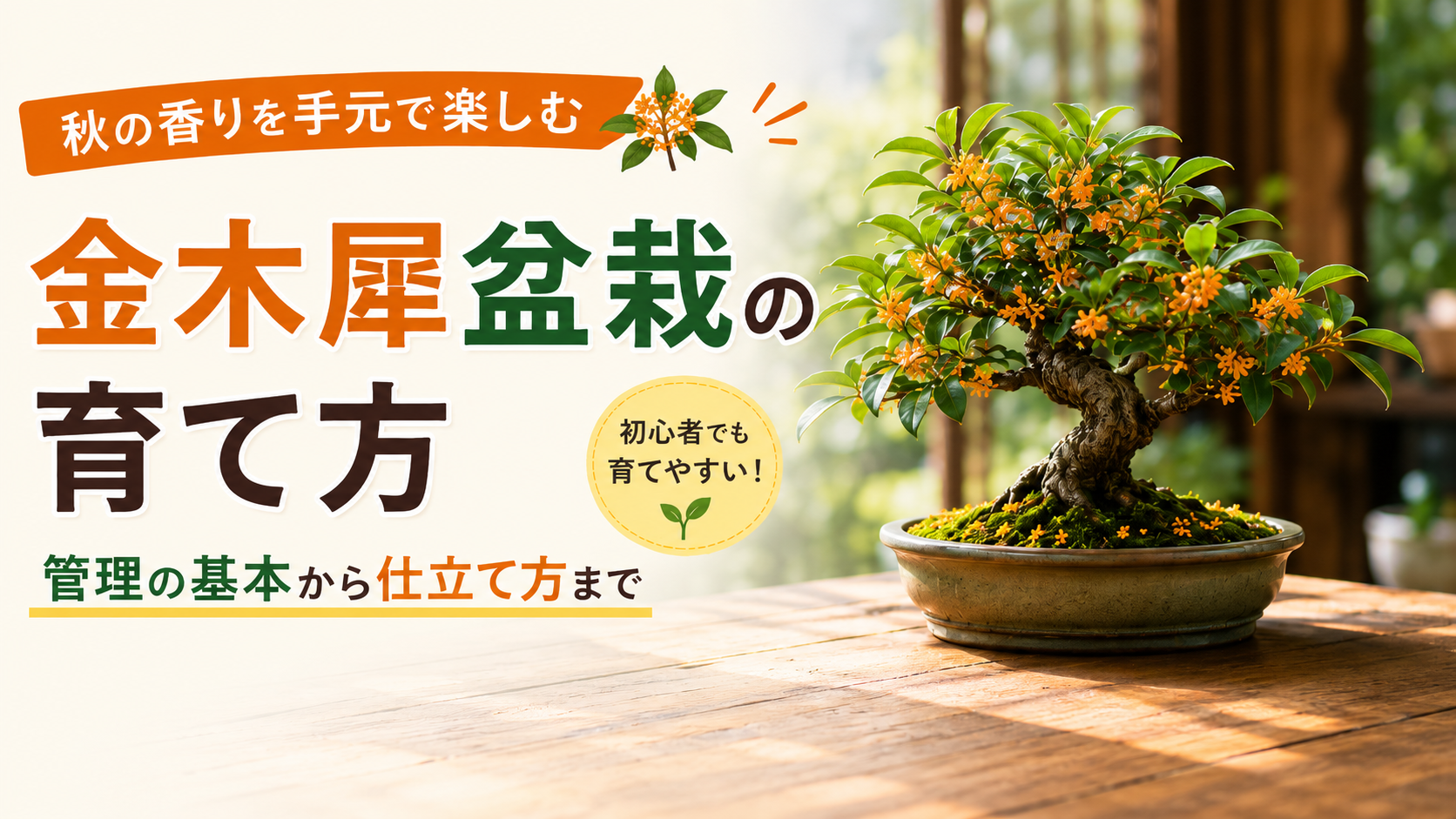 金木犀盆栽の育て方