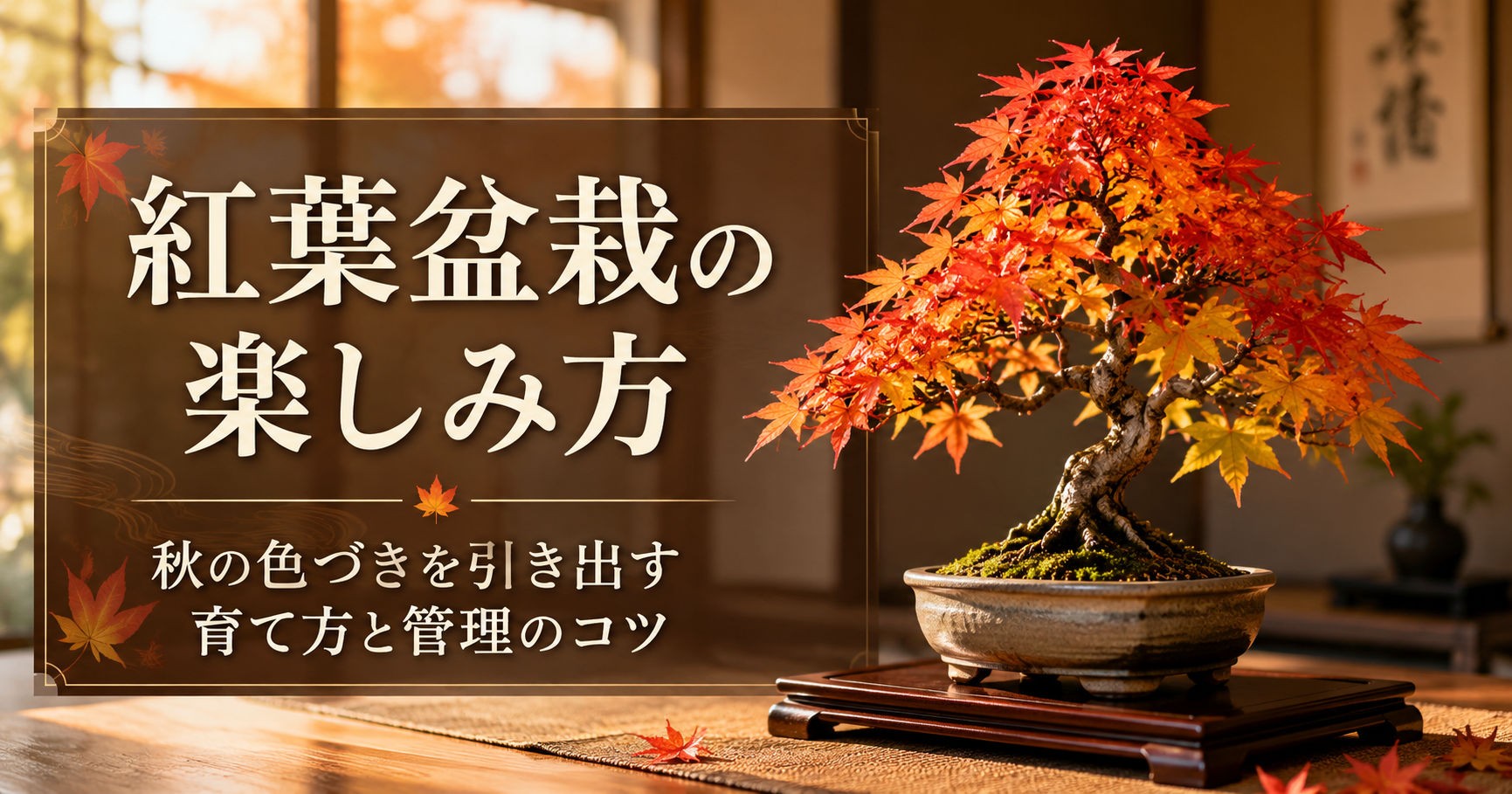 紅葉盆栽の楽しみ方