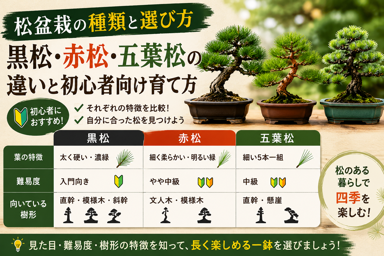 松盆栽の種類と選び方