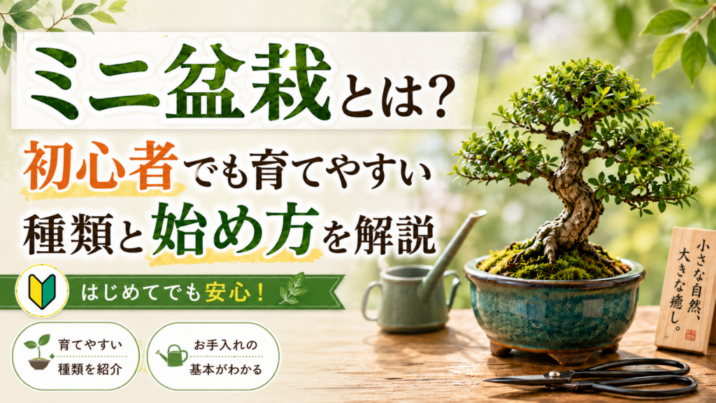 ミニ盆栽