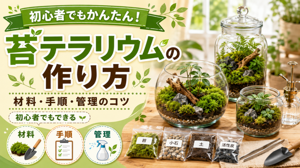 苔テラリウムの作り方