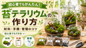 苔テラリウムの作り方