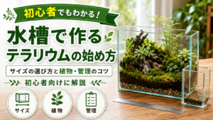 水槽で作るテラリウムの始め方｜サイズの選び方と植物・管理のコツ