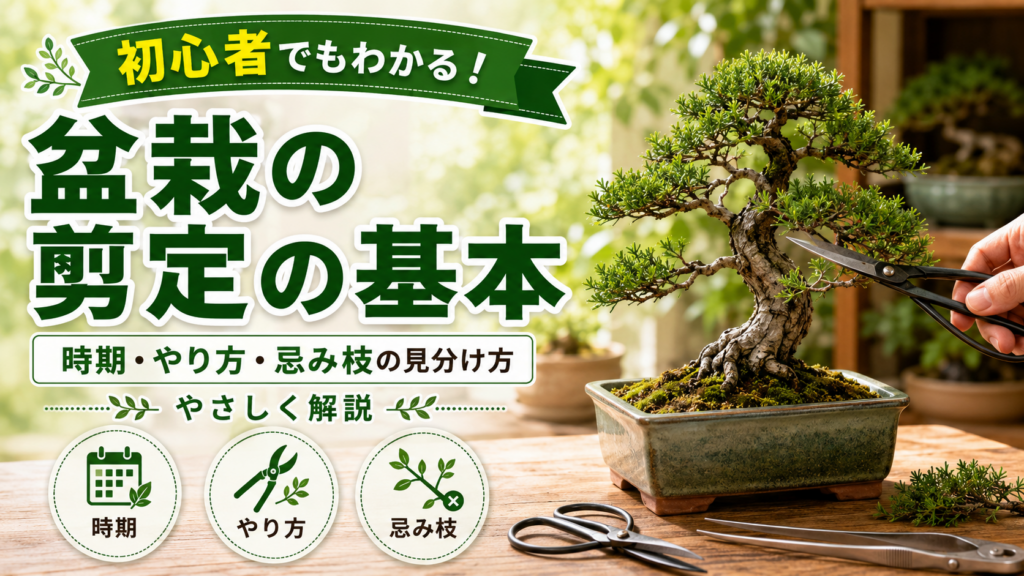 盆栽選定の基本
