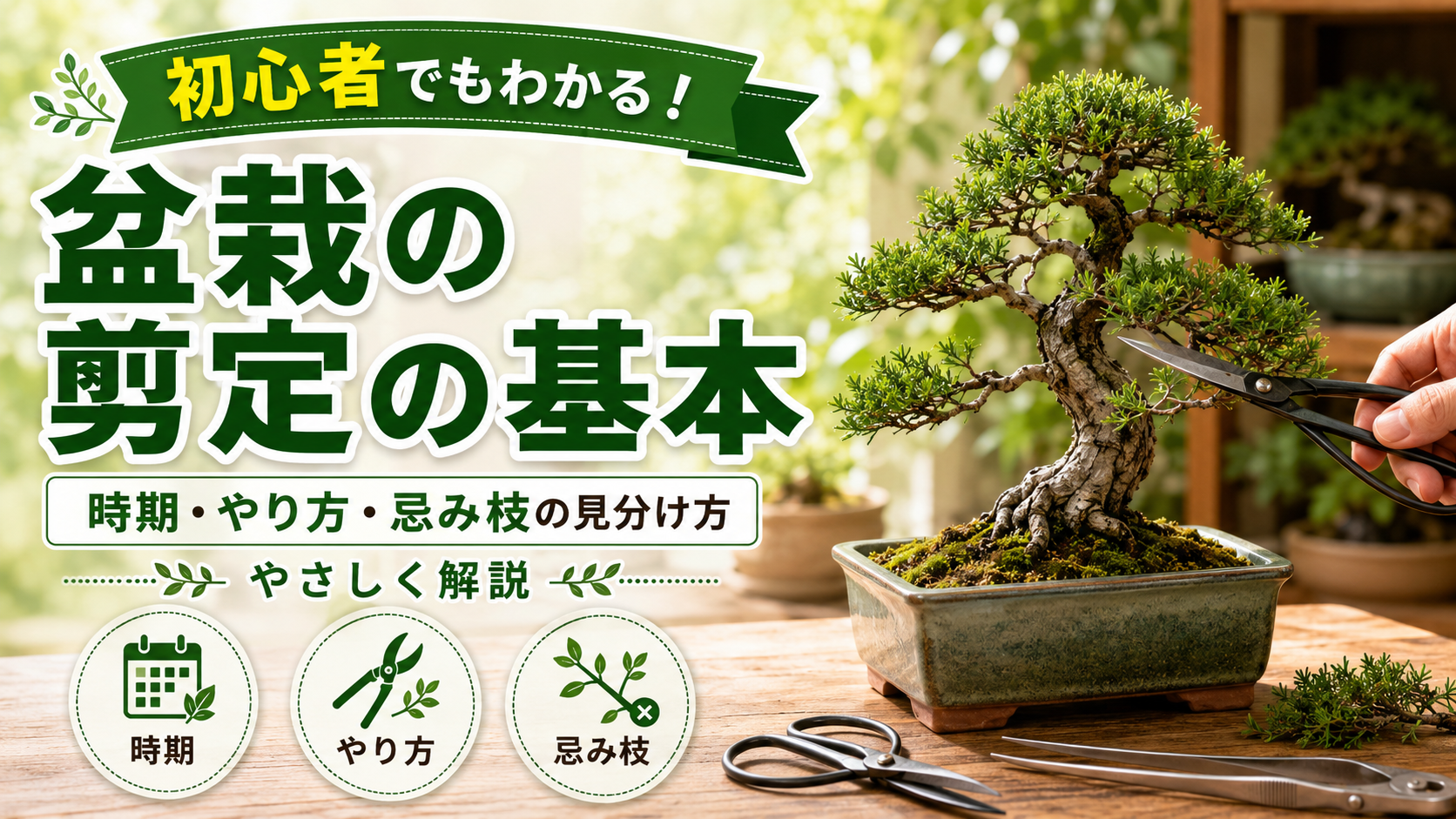 盆栽選定の基本