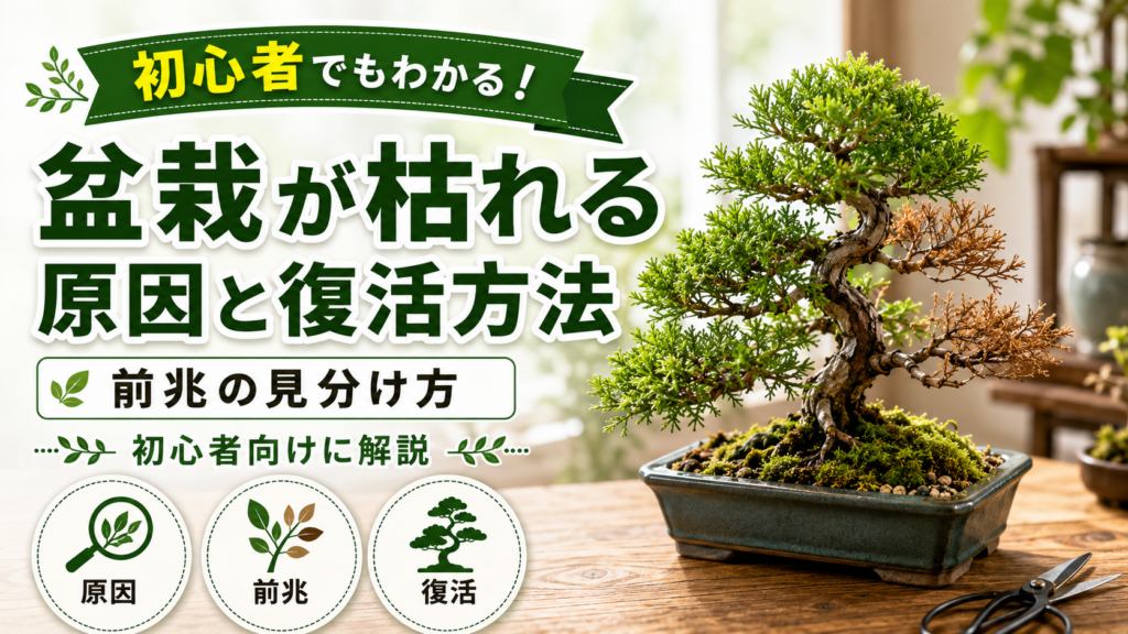 盆栽が枯れる原因と復活方法