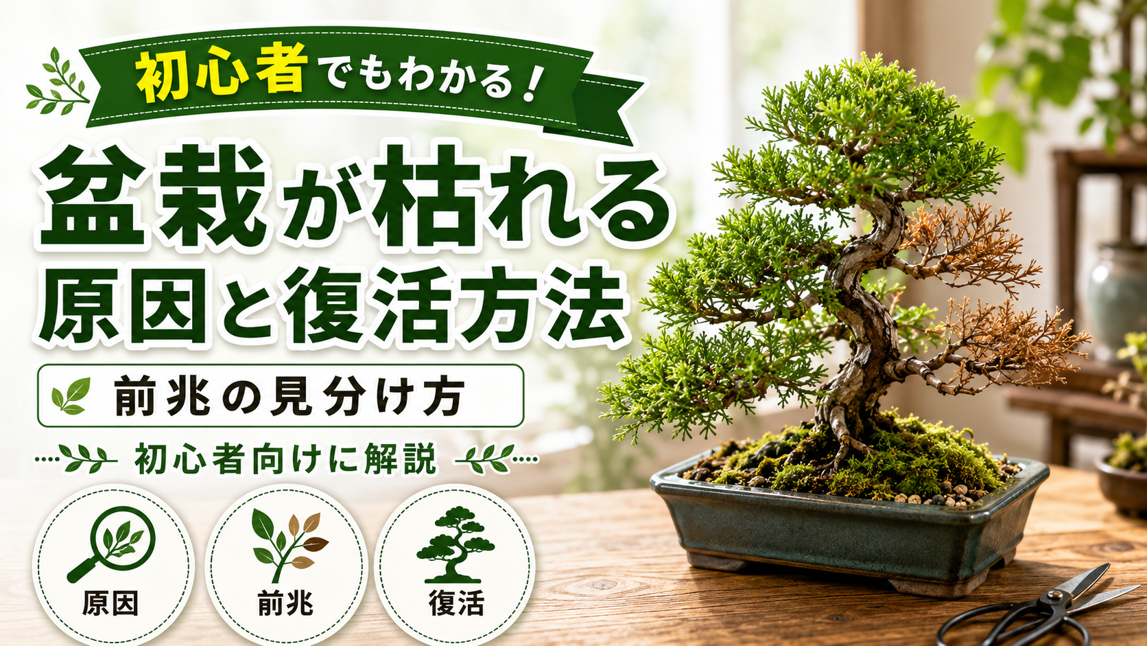 盆栽が枯れる原因と復活方法