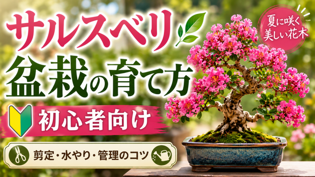 サルスベリ盆栽の育て方