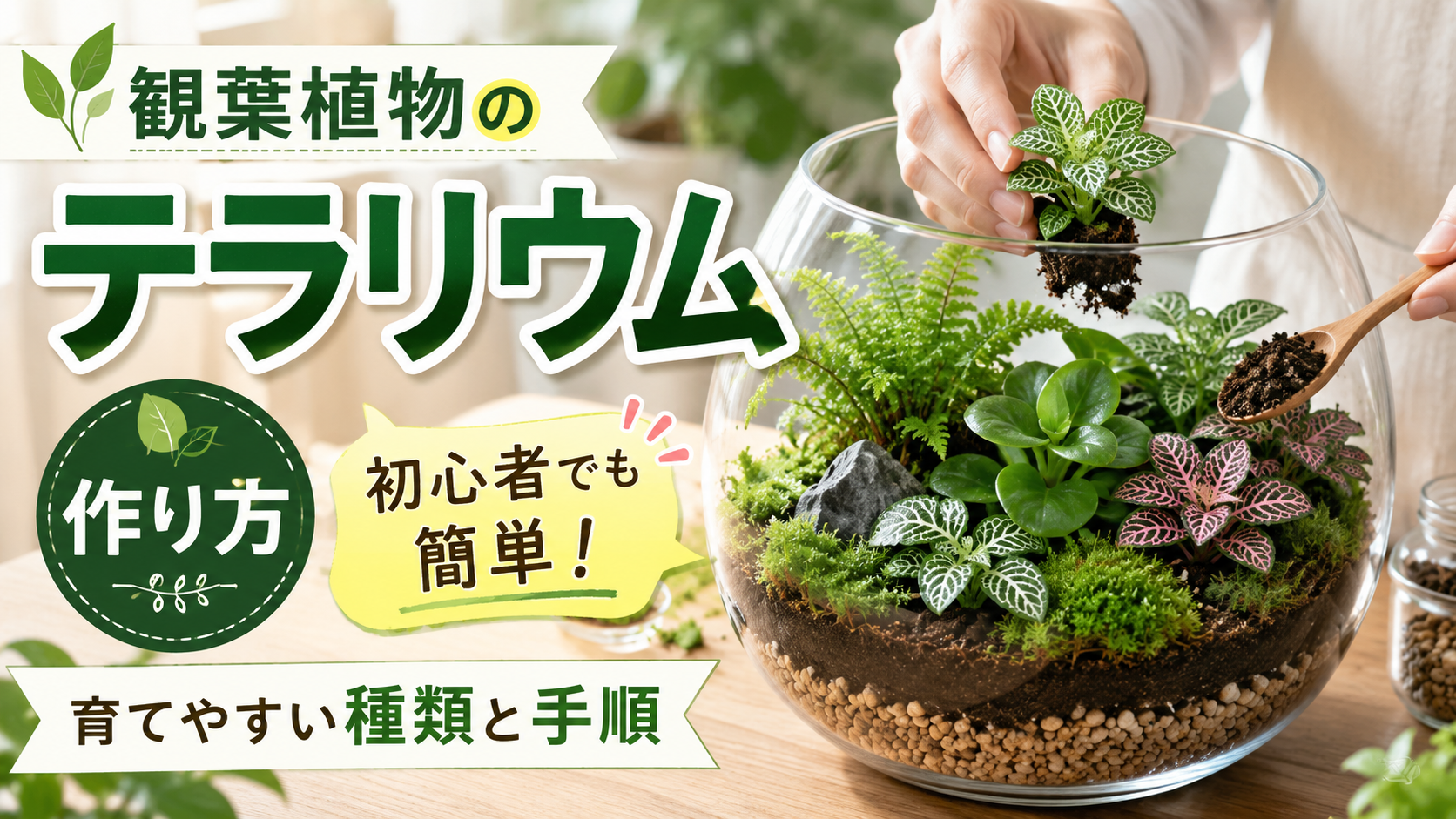 観葉植物のテラリウムの作り方