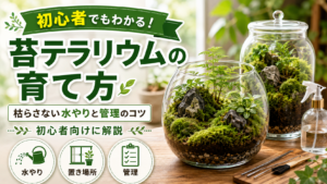 苔テラリウムの育て方