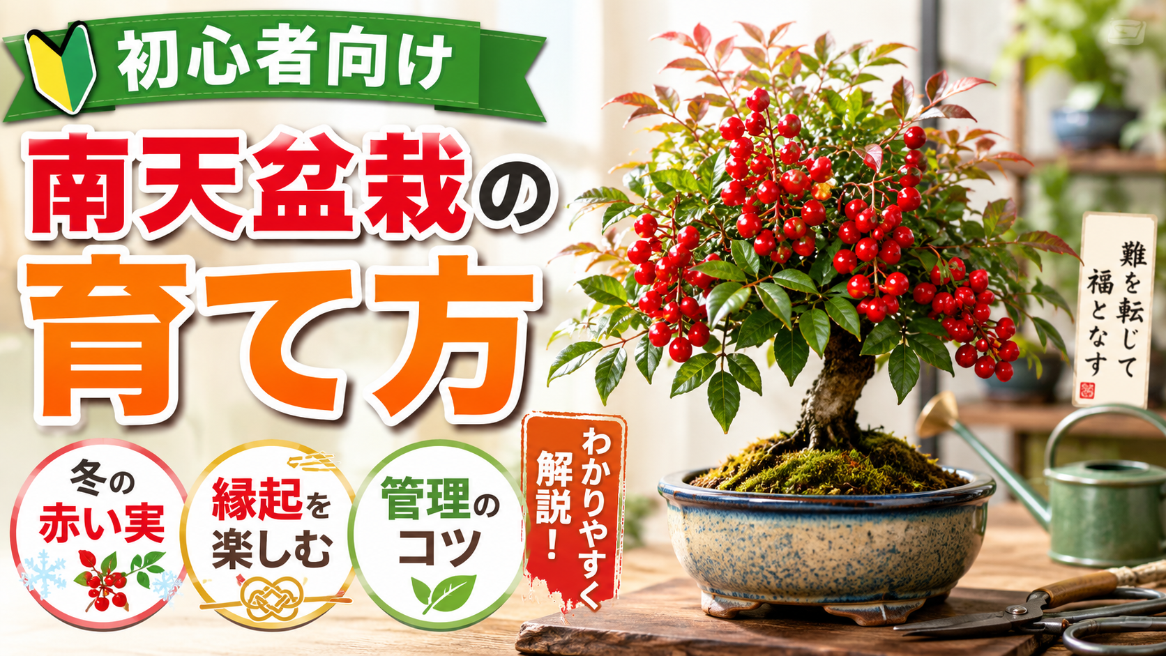 南天盆栽の育て方