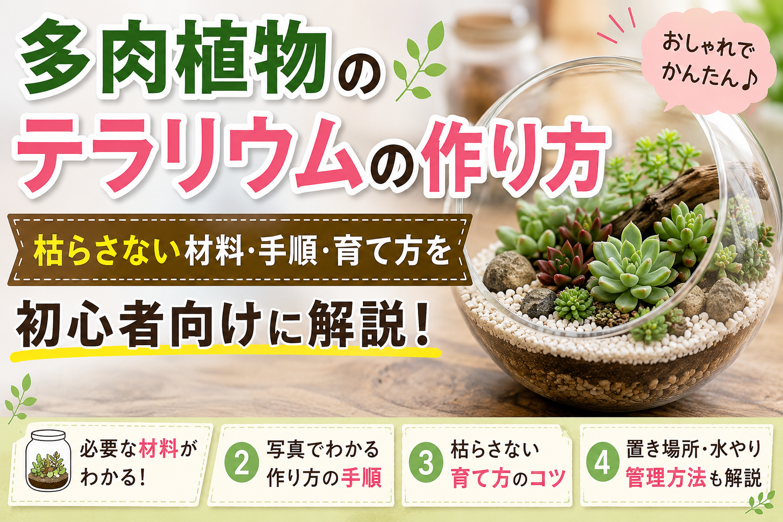 多肉植物のテラリウムの作り方