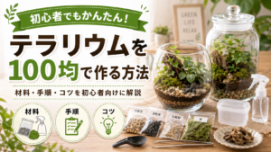 テラリウムを100均一で作る方法