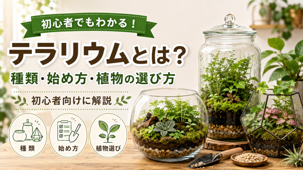 テラリウムとは？種類・始め方・植物の選び方を初心者向けに解説