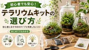 テラリウムキットの選び方