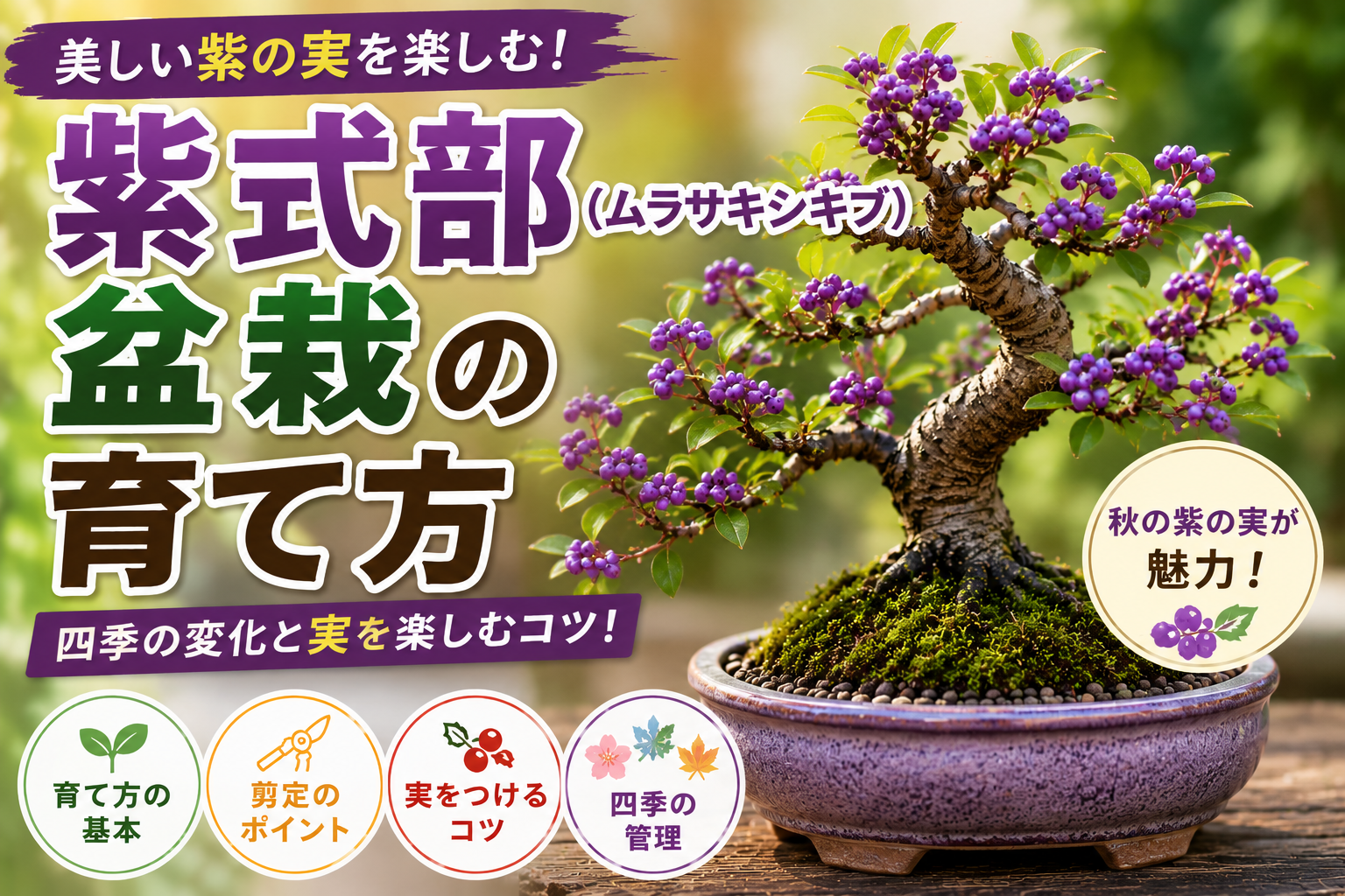 紫式部盆栽