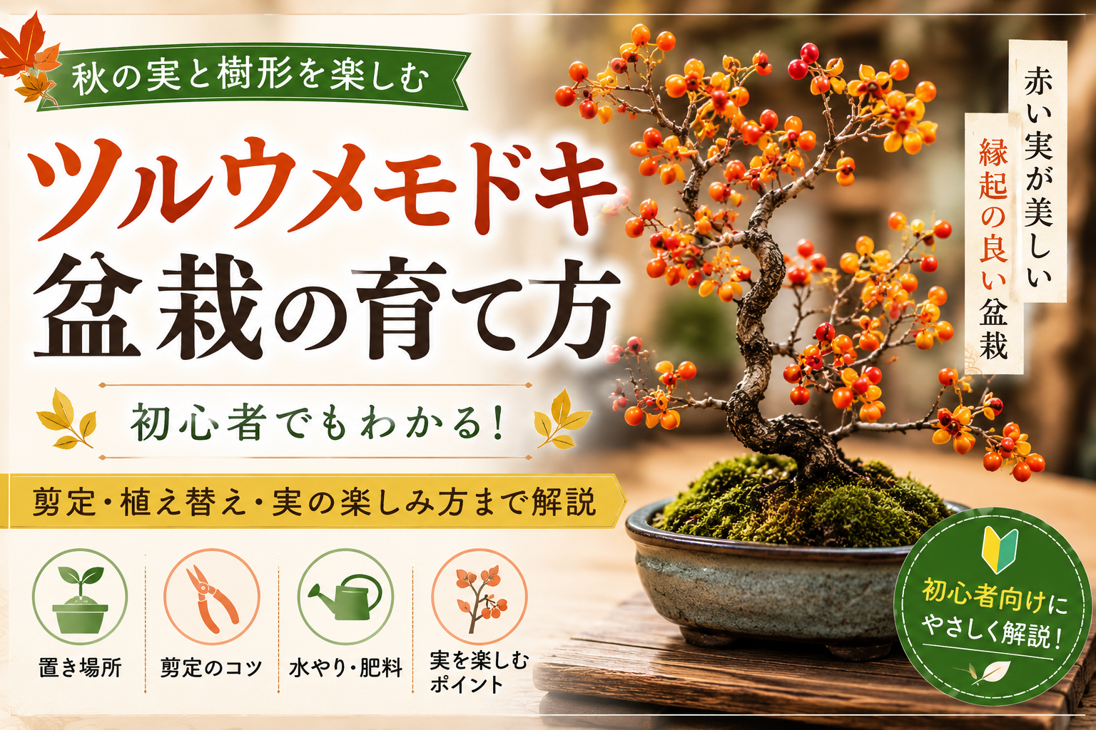 ツルウメモドキ盆栽の育て方