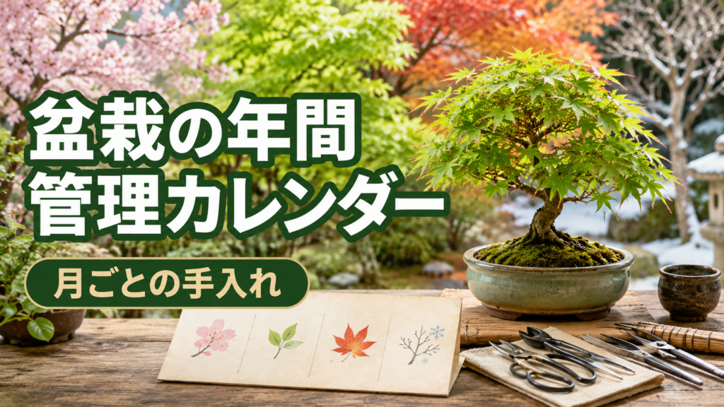 盆栽の年間管理カレンダー