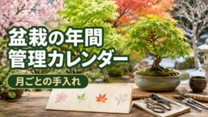 盆栽の年間管理カレンダー