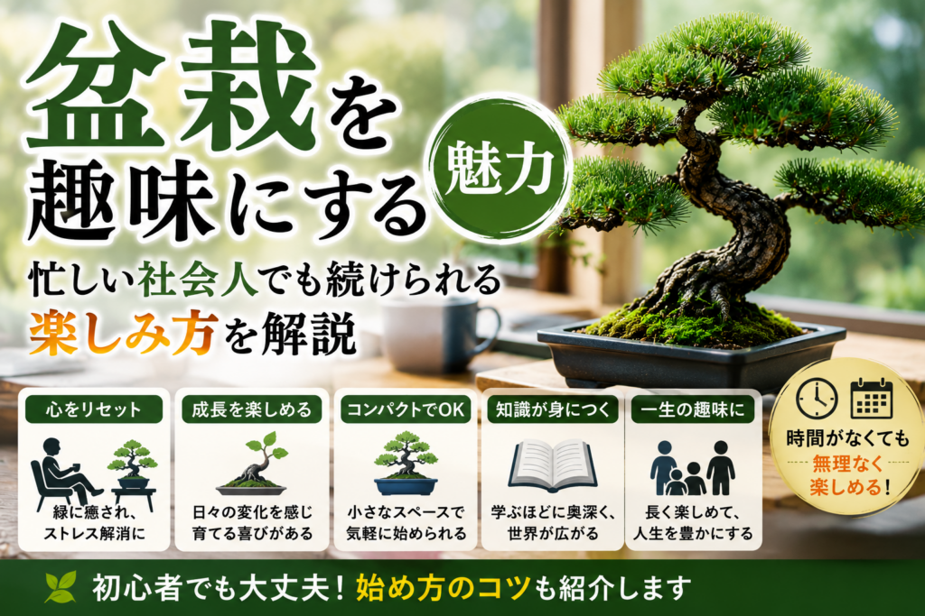 盆栽を趣味にする魅力