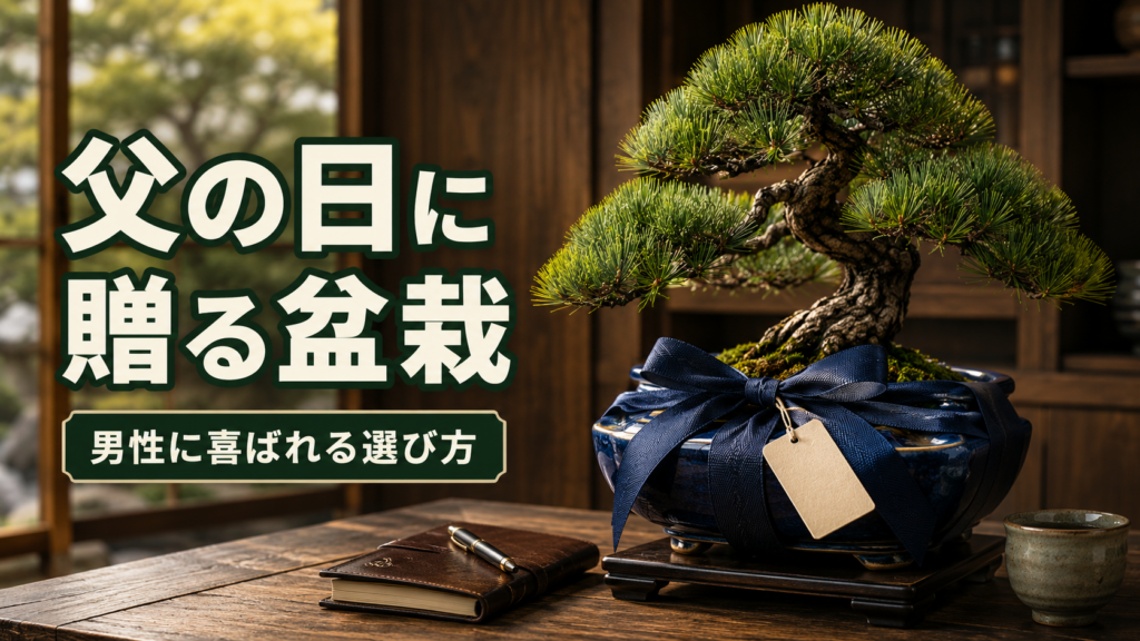父の日　盆栽