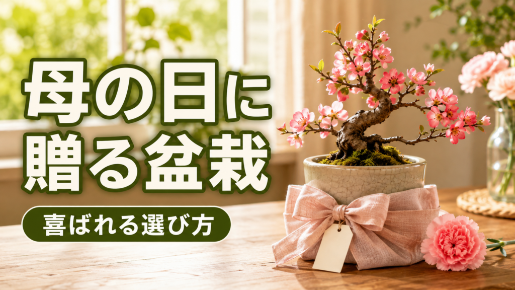 母の日　盆栽