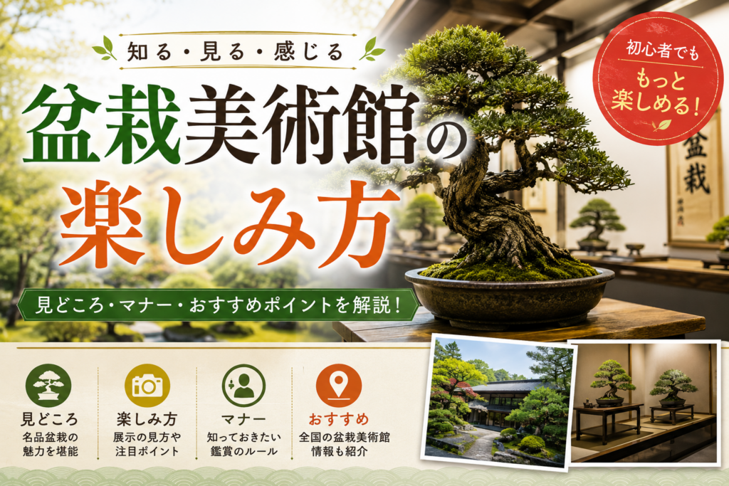 盆栽美術館の楽しみ方