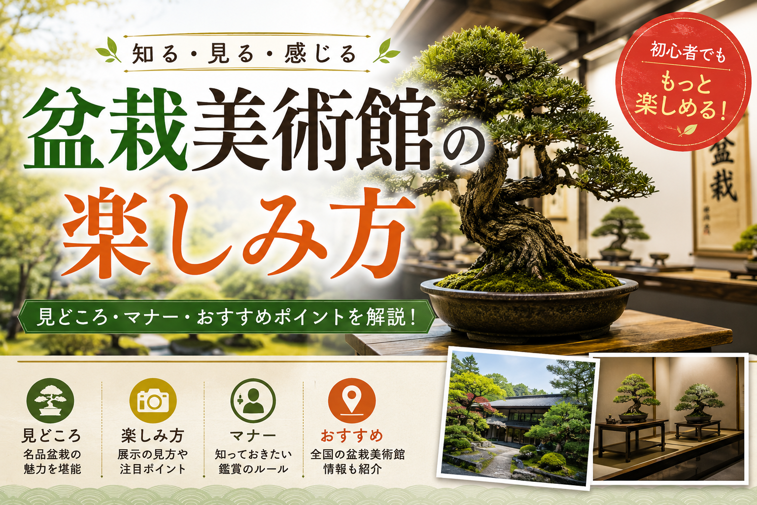 盆栽美術館の楽しみ方