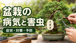 盆栽の病気と害虫