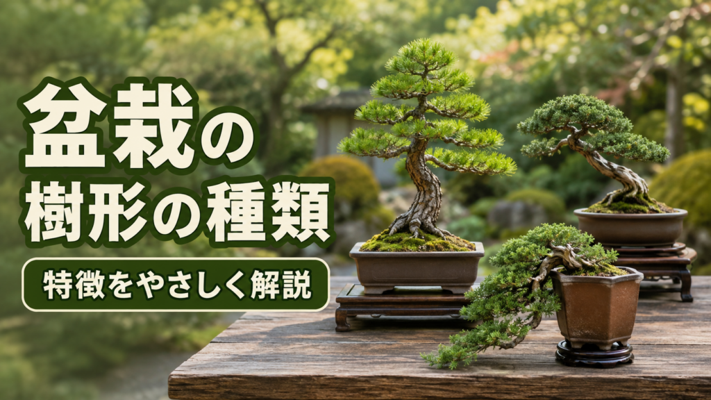 盆栽の樹形の種類