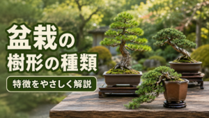 盆栽の樹形の種類