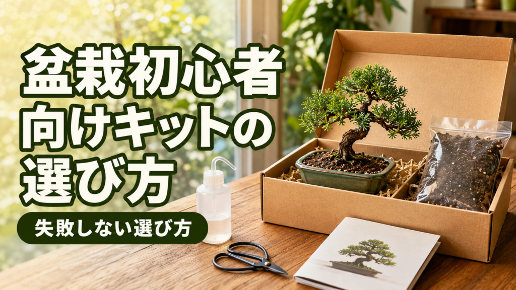盆栽初心者向けキットの選び方
