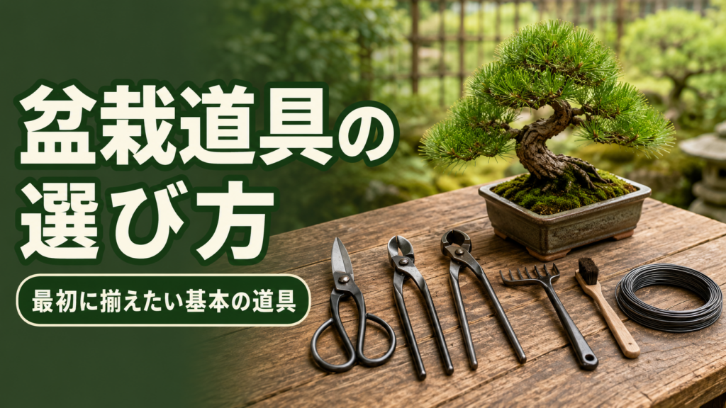 盆栽道具の選び方