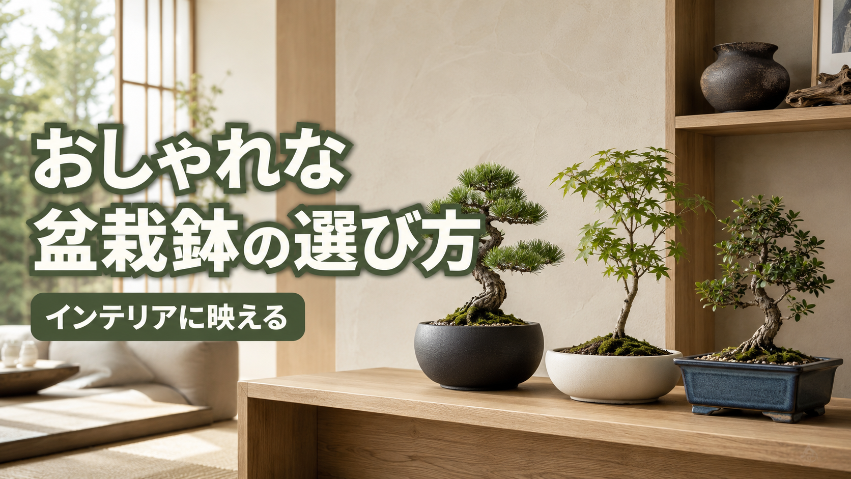 お洒落鉢盆栽