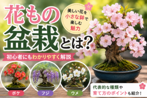 花もの盆栽とは