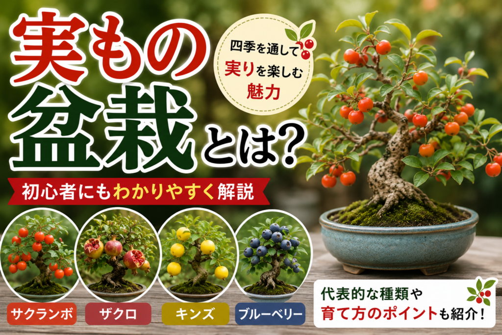 実もの盆栽とは