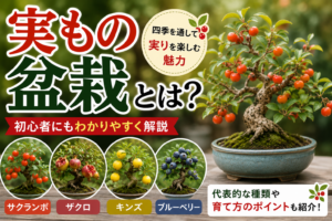 実もの盆栽とは