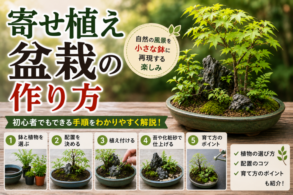 寄せ植え盆栽の作り方