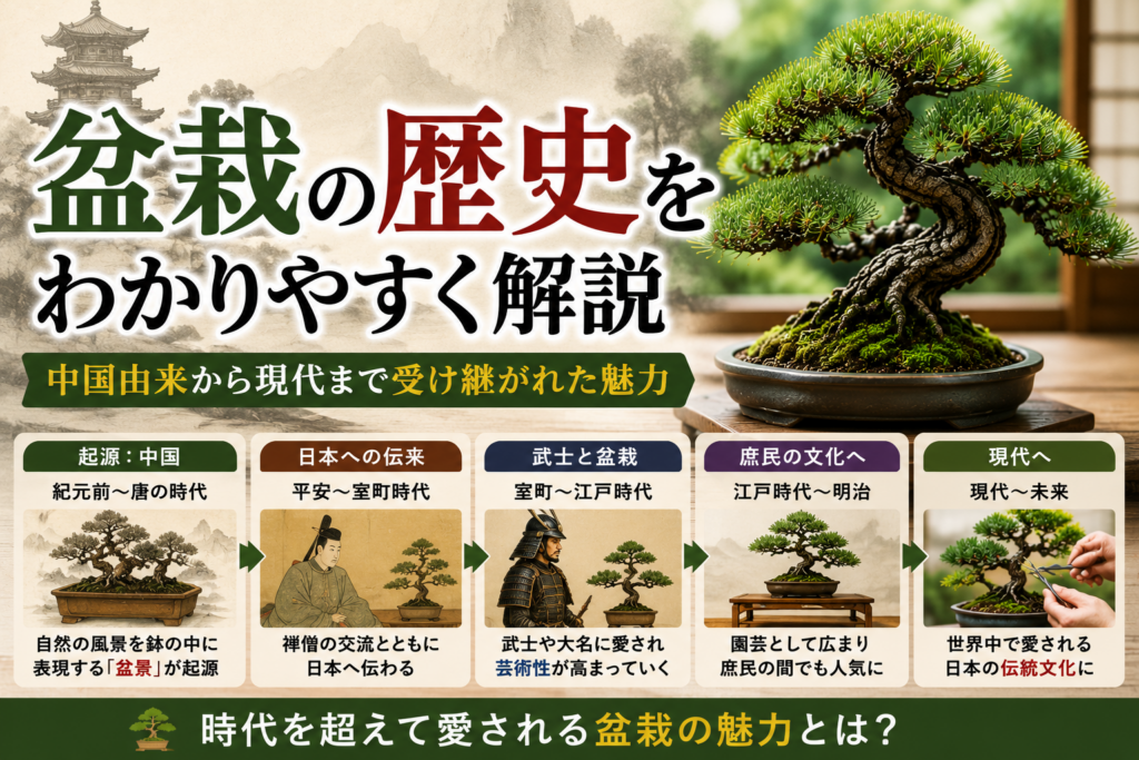 盆栽の歴史をわかりやすく解説