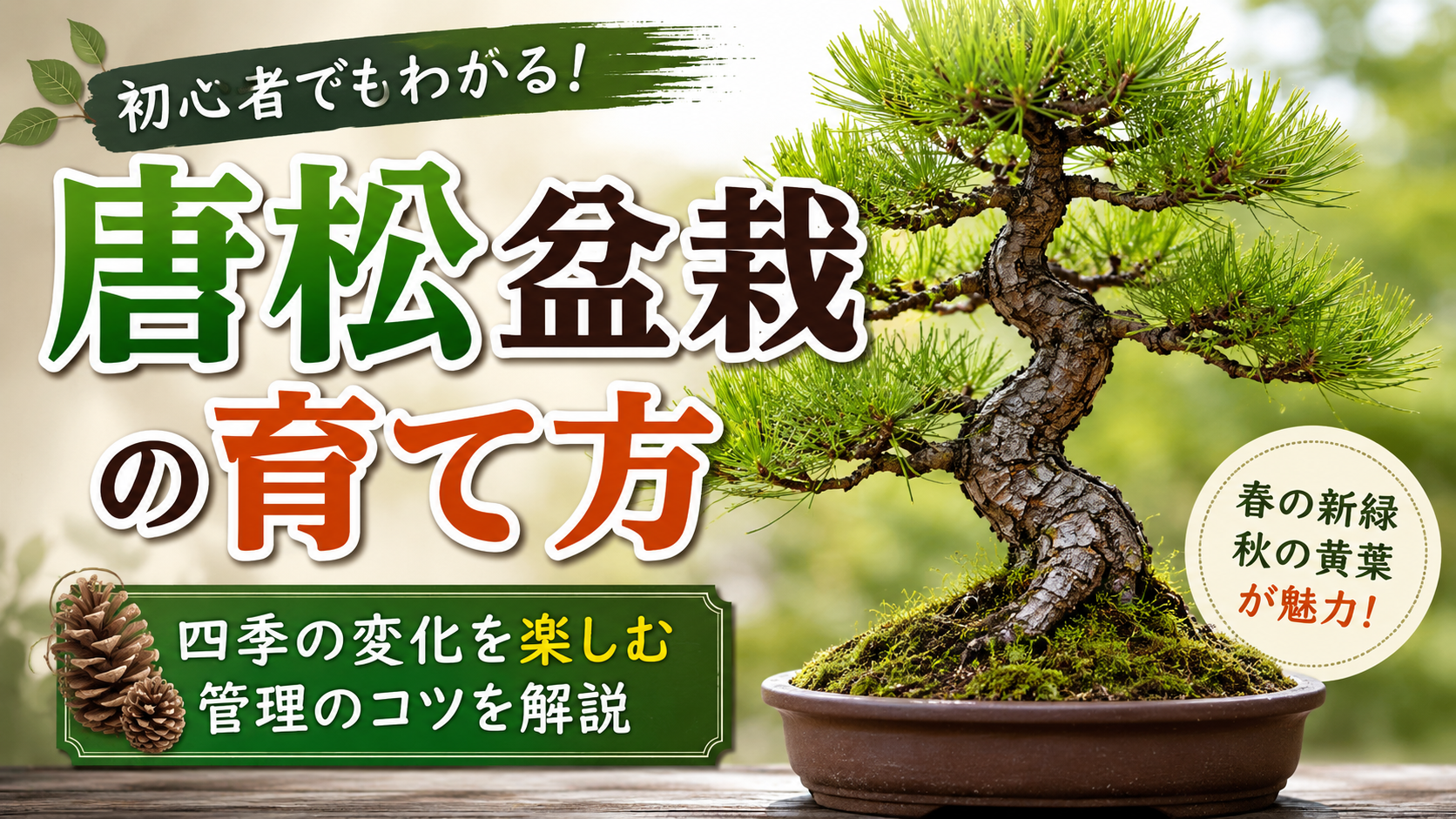 唐松盆栽の育て方