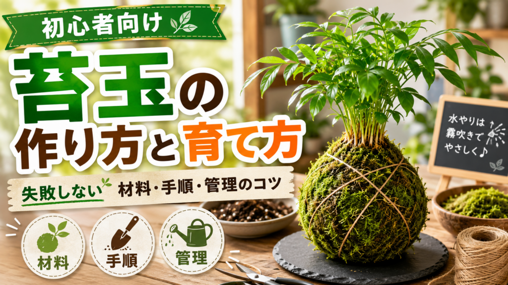 苔玉の作り方と育て方
