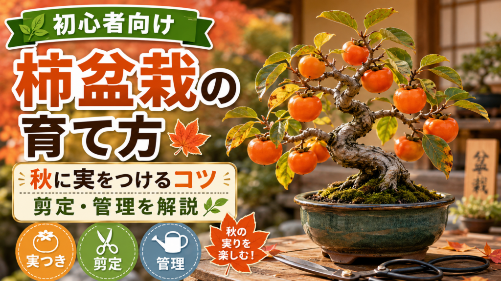 柿盆栽の育て方