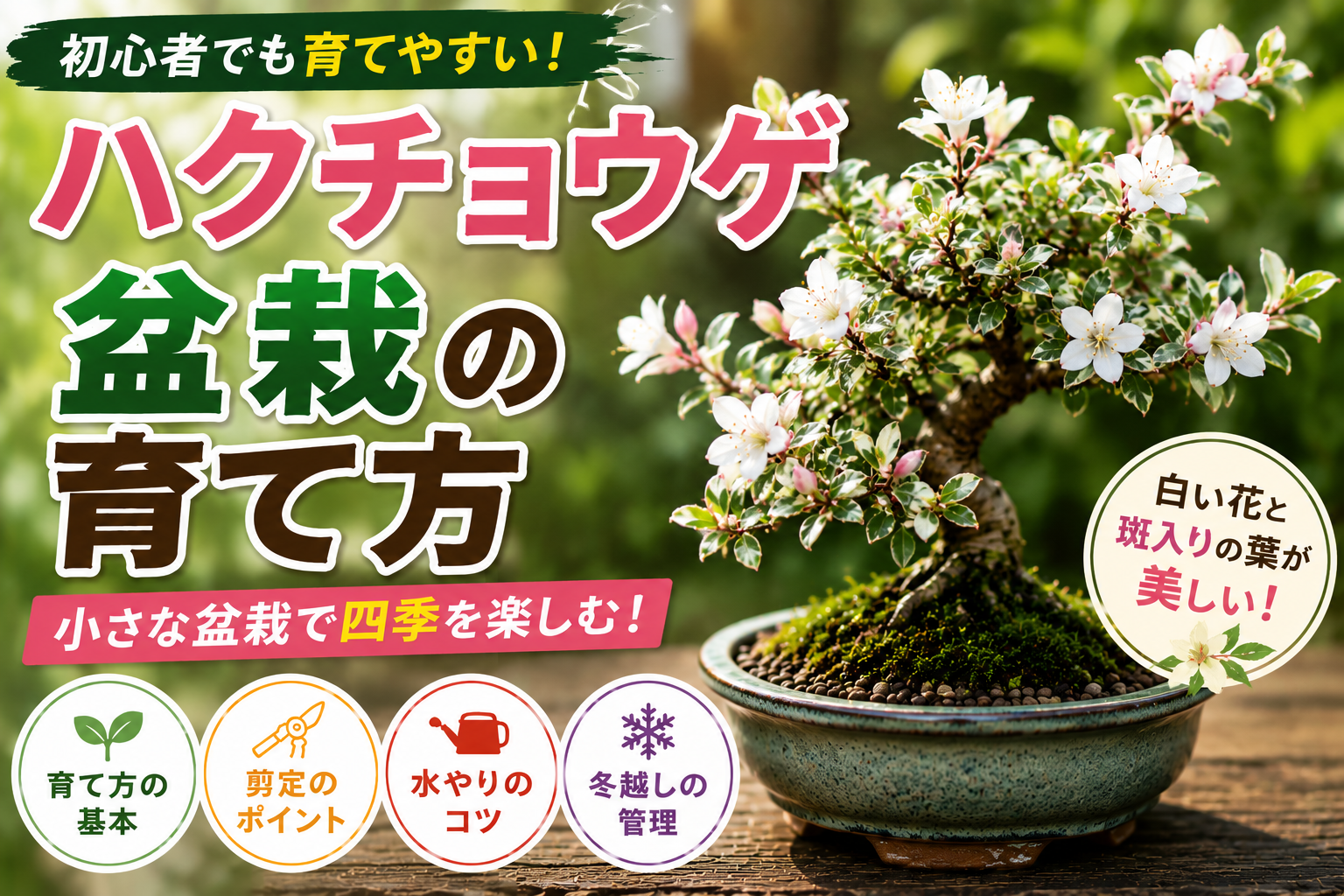 ハクチョウゲ盆栽の育て方